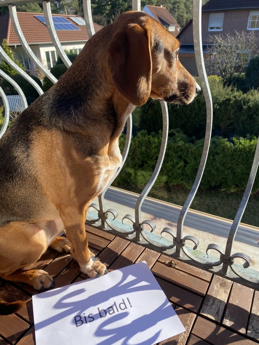 Nika Foto Bis Bald