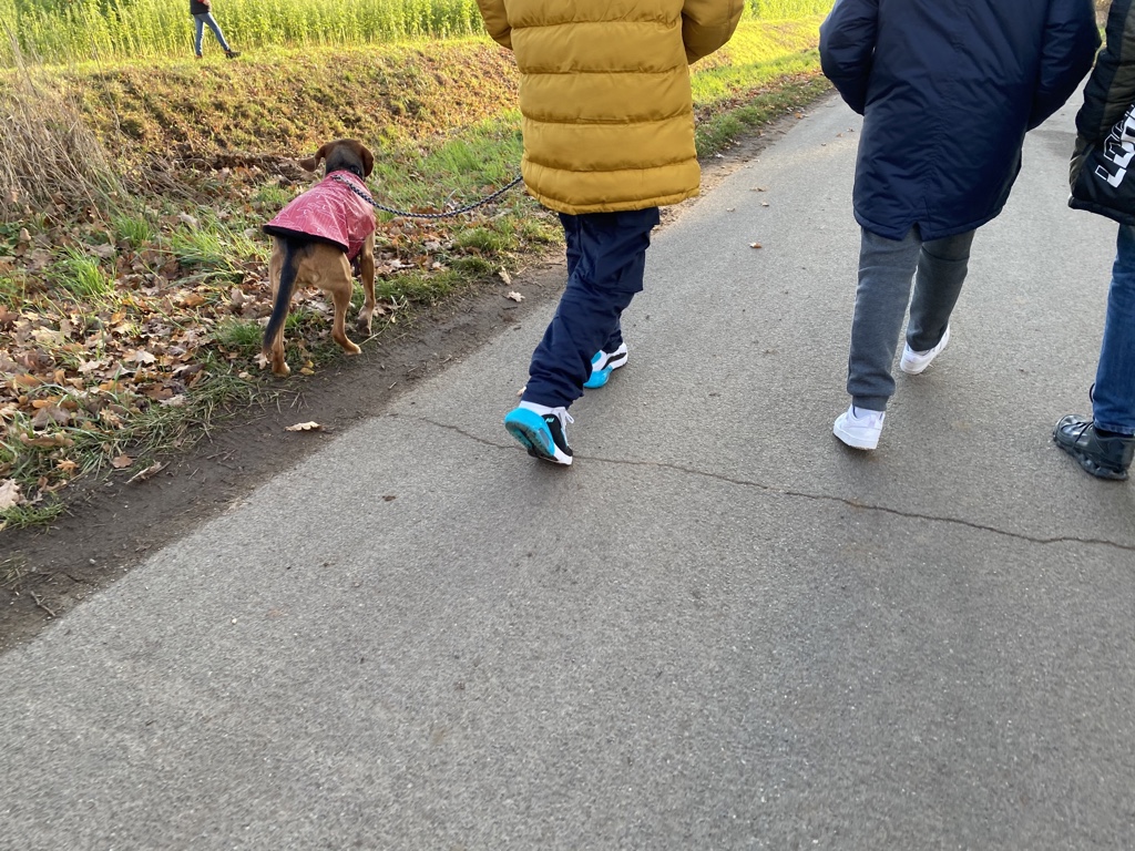 Nika Spaziergang