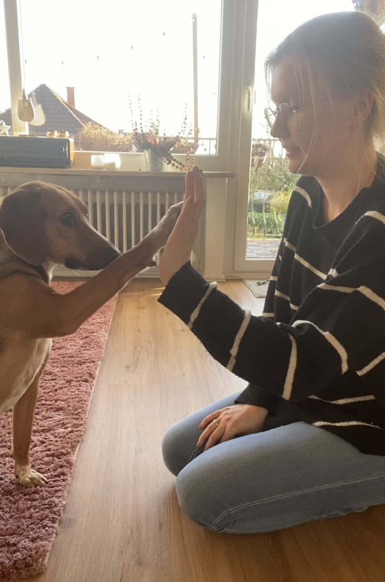 Nika Video High Five